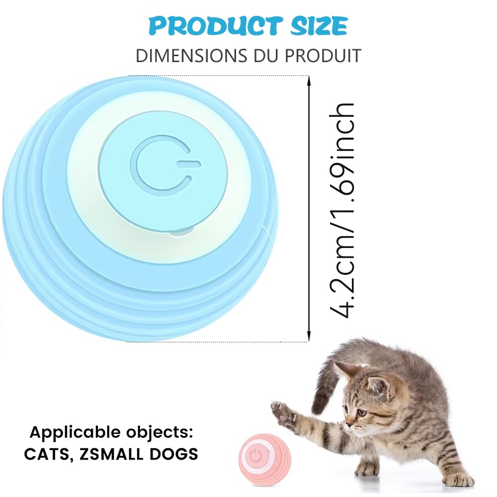 Kompaktes Format — perfekt für jede Katze